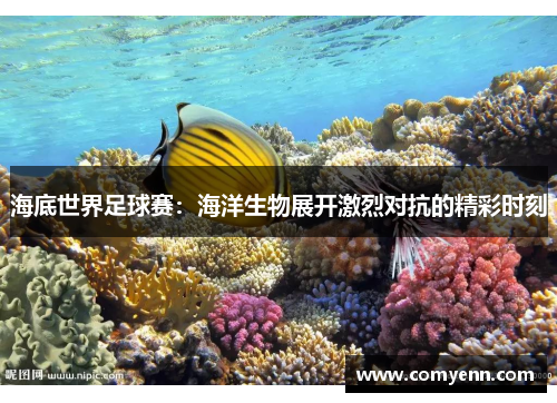 海底世界足球赛：海洋生物展开激烈对抗的精彩时刻